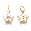 Brass Micro Pave Cubic Zirconia Charms X2-ZIRC-F111-09G-08-2