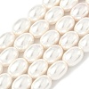 Electroplated Shell Pearl Beads Strands PEAR-R001-01-2