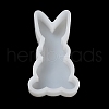 Rabbit Display Decoration DIY Silhouette Silicone Molds SIMO-H142-02B-3