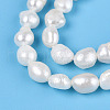 Natural Cultured Freshwater Pearl Beads Strands PEAR-N014-04K-4