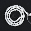 Natural Freshwater Shell Beads Strands BSHE-H109-15A-3