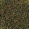 TOHO Round Seed Beads X-SEED-TR08-0996-2