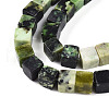 Natural Serpentine Beads Strands G-T140-36A-3