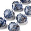 Natural Blue Spot Jasper Beads Strands G-C150-A27-01-2