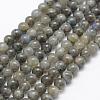 Natural Labradorite Beads Strands G-P322-31-6mm-1