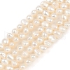 Natural Cultured Freshwater Pearl Beads Strands PEAR-P064-19D-08E-2
