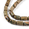 Natural Verdite Stone Beads Strands G-N346-01B-06-4