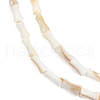 Natural Freshwater Shell Beads Strands SHEL-G013-01H-3