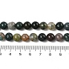 Natural Indian Agate Beads Strands G-A248-A01-02-5