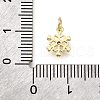 Brass Micro Pave Clear Cubic Zirconia Charms KK-V011-39B-G-3