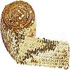Fingerinspire Polyester Paillette Chain Rolls OCOR-FG0001-15C-1