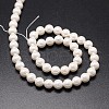 Shell Pearl Beads Strands X-BSHE-E008-6mm-12-2