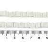 Handmade Lampwork Beads Strands LAMP-Q037-02B-19-4