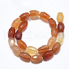 Natural Red Agate Beads Strands G-S357-A09-2