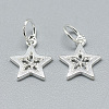 925 Sterling Silver Charms STER-T002-298S-2