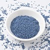 MIYUKI Delica Beads SEED-X0054-DB2135-2