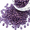 Transparent Czech Glass Seed Beads SEED-N004-005-C02-1