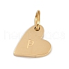 304 Stainless Steel Charms STAS-L291-01G-P-2