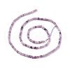 Natural Lepidolite/Purple Mica Stone Beads Strands G-C009-B16-3