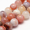 Natural Sardonyx Beads Strands G-K155-D-14mm-01-1