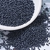 MIYUKI Round Rocailles Beads SEED-G007-RR2001-1