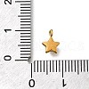 304 Stainless Steel Charms STAS-R159-58G-02-3