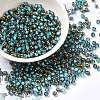 Glass Seed Beads X1-SEED-H002-B-D223-1