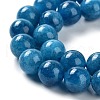 Dyed Natural Malaysia Jade Beads Strands G-G021-02C-10-3