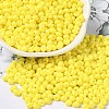 6/0 Opaque Baking Paint Glass Seed Beads SEED-M012-02A-24-1