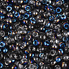 6/0 Half Plated Glass Beads SEED-N008-04C-3