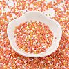 Baking Paint Glass Seed Beads SEED-S042-05B-45-2