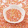 Baking Paint Glass Seed Beads SEED-S042-05B-45-2