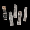 Natural Quartz Crystal Pendants G-Z031-01C-1