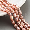 Natural Cultured Freshwater Pearl Beads Strands PEAR-P062-28C-1