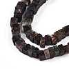 Natural Biotite Beads Strands G-T140-54-3