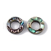 Natural Abalone Shell/Paua Shell Beads SSHEL-M021-03-2