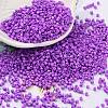 Baking Paint Glass Seed Beads SEED-S042-05B-72-1