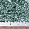 MIYUKI Round Rocailles Beads X-SEED-G007-RR2028-4