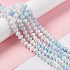 Faceted Electroplated Glass Beads Strands GLAA-C023-02A-2
