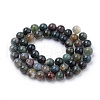 Natural Indian Agate Beads Strands G-S259-31-10mm-2
