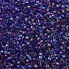 MIYUKI Delica Beads SEED-X0054-DB1755-3