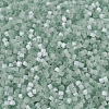 MIYUKI Delica Beads SEED-X0054-DB0829-3