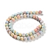 Natural Rainbow Alashan Agate Lantern Beads Strands G-NH0022-B01-01-3
