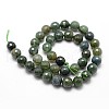 Natural Moss Agate Beads Strands X-G-D840-25-10mm-2