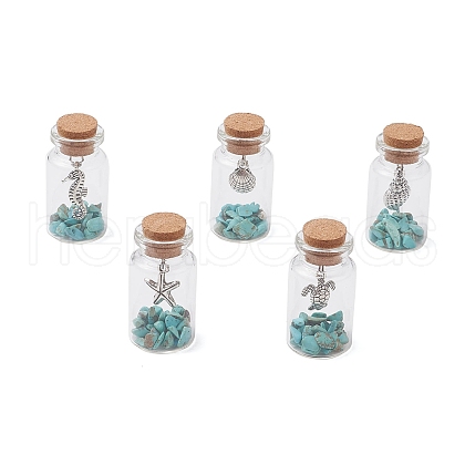 5Pcs 5 Styles Glass Wish Bottle Display Decorations PALLOY-JF03643-1