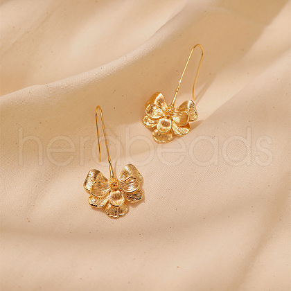 Brass Dangle Earrings EJEW-Z117-02G-1