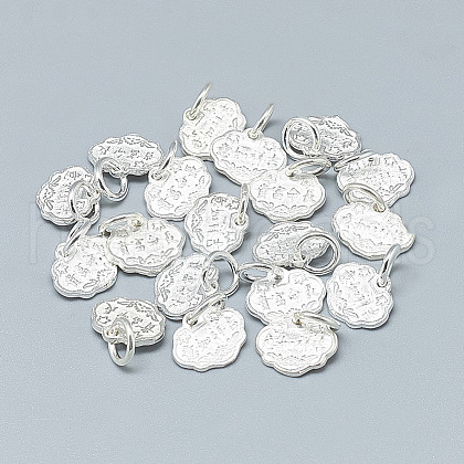 925 Sterling Silver Charms STER-T002-101S-1