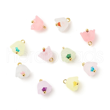 Transparent Acrylic Charms PALLOY-JF01603-02-1