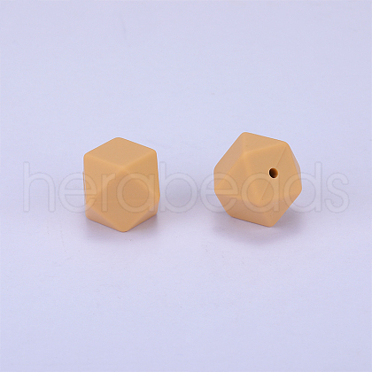 Hexagonal Silicone Focal Beads SI-JX0020A-115-1
