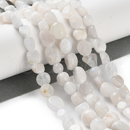 Natural Rainbow Moonstone Beads Strands G-P497-01C-63-1